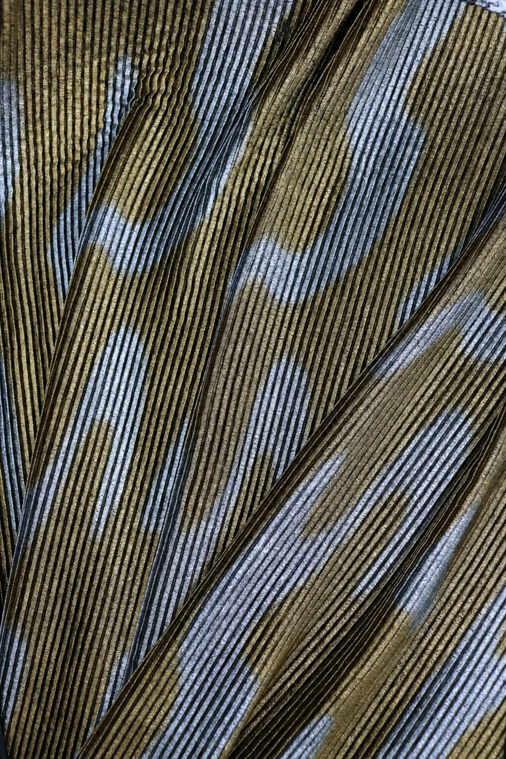 Pieza Dark Gold